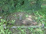 image number IMG_3331